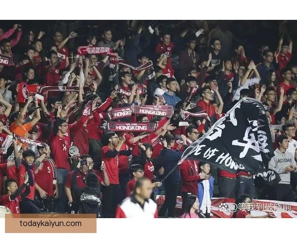 英超纽卡引援动态持续关注，球队有望提升竞争力